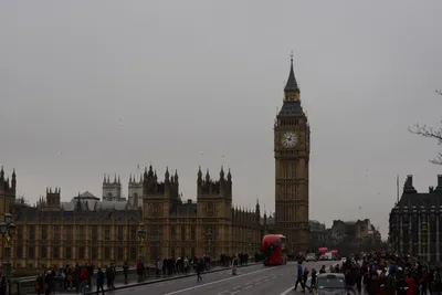 DSC_5813 (Large).JPG